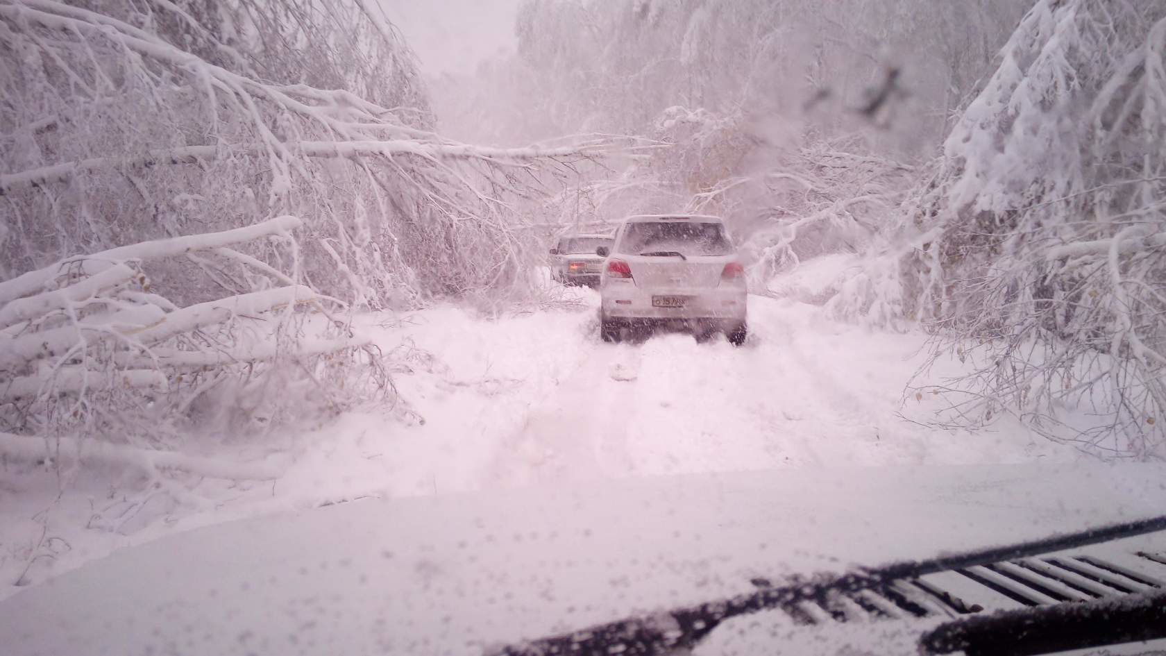 растущий снег этикетка. 5. 50 см сугроба. снежный 50. полимерный снег.