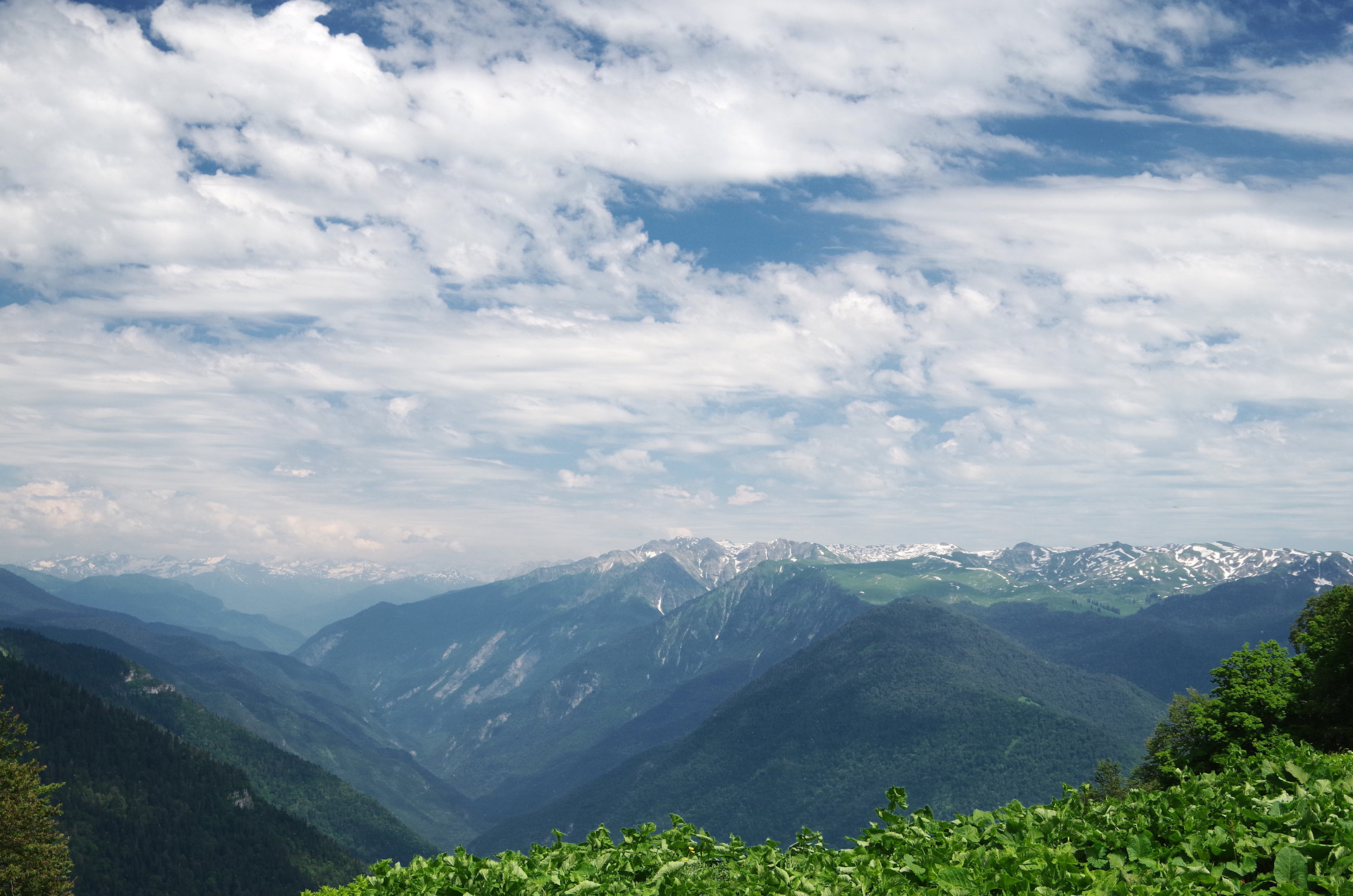 Хребет Арбаа Абхазия