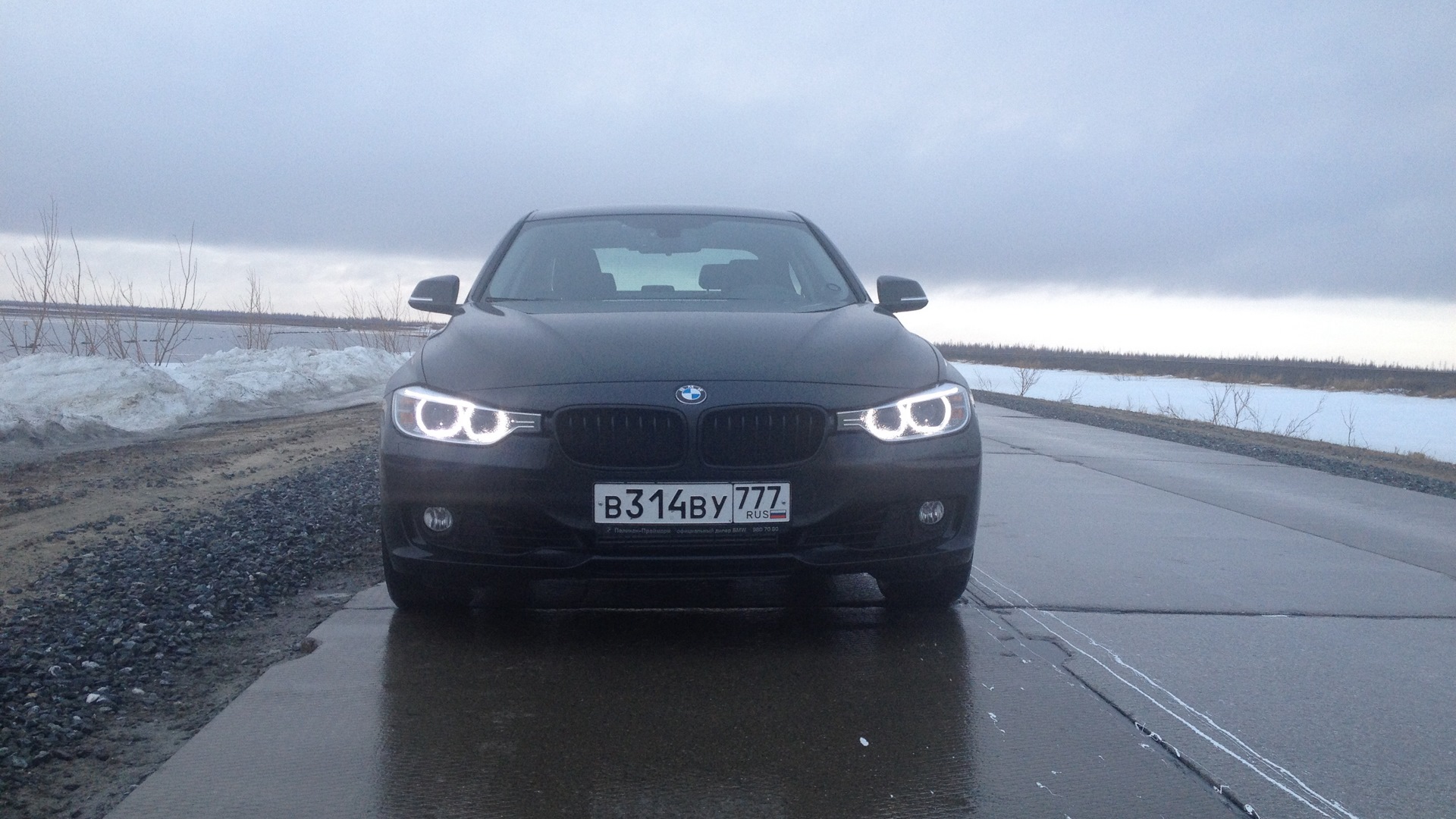 BMW 3 series (F30) 2.0 бензиновый 2014 | акула на DRIVE2