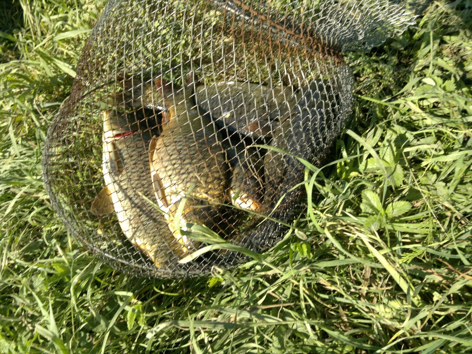 Съездили на рыбалку — ИЖ 2126, 1,7 л, 2005 года | другое | DRIVE2