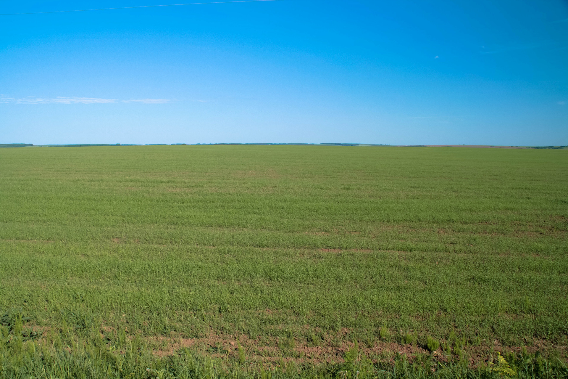 Маляевка степь. Степи чувашии. Южнорусские степи. Привольная степь. Привольная степь.
