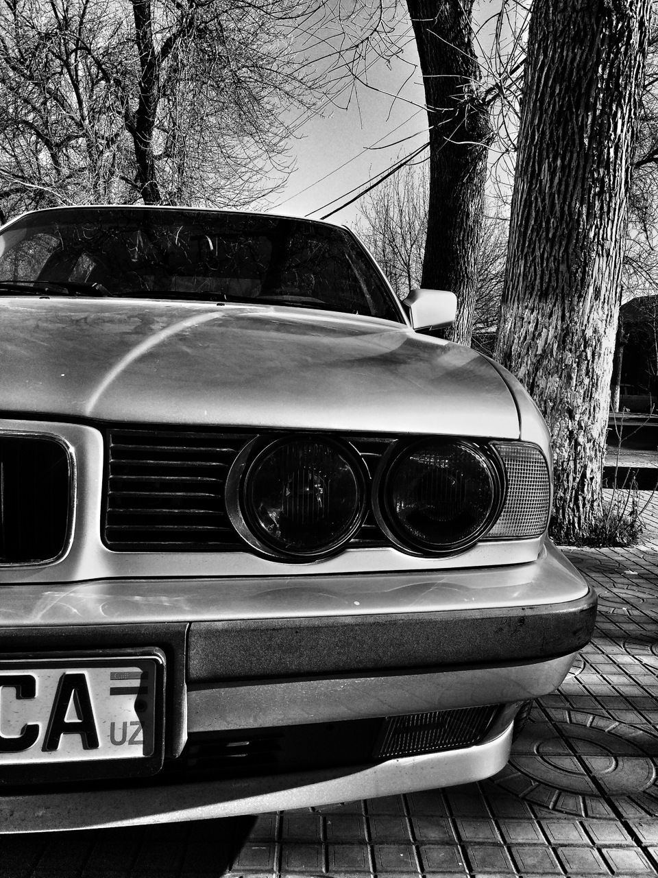 BMW E34 (Каспийский Груз) — BMW 5 series (E34), 2,5 л, 1992 года |  фотография | DRIVE2