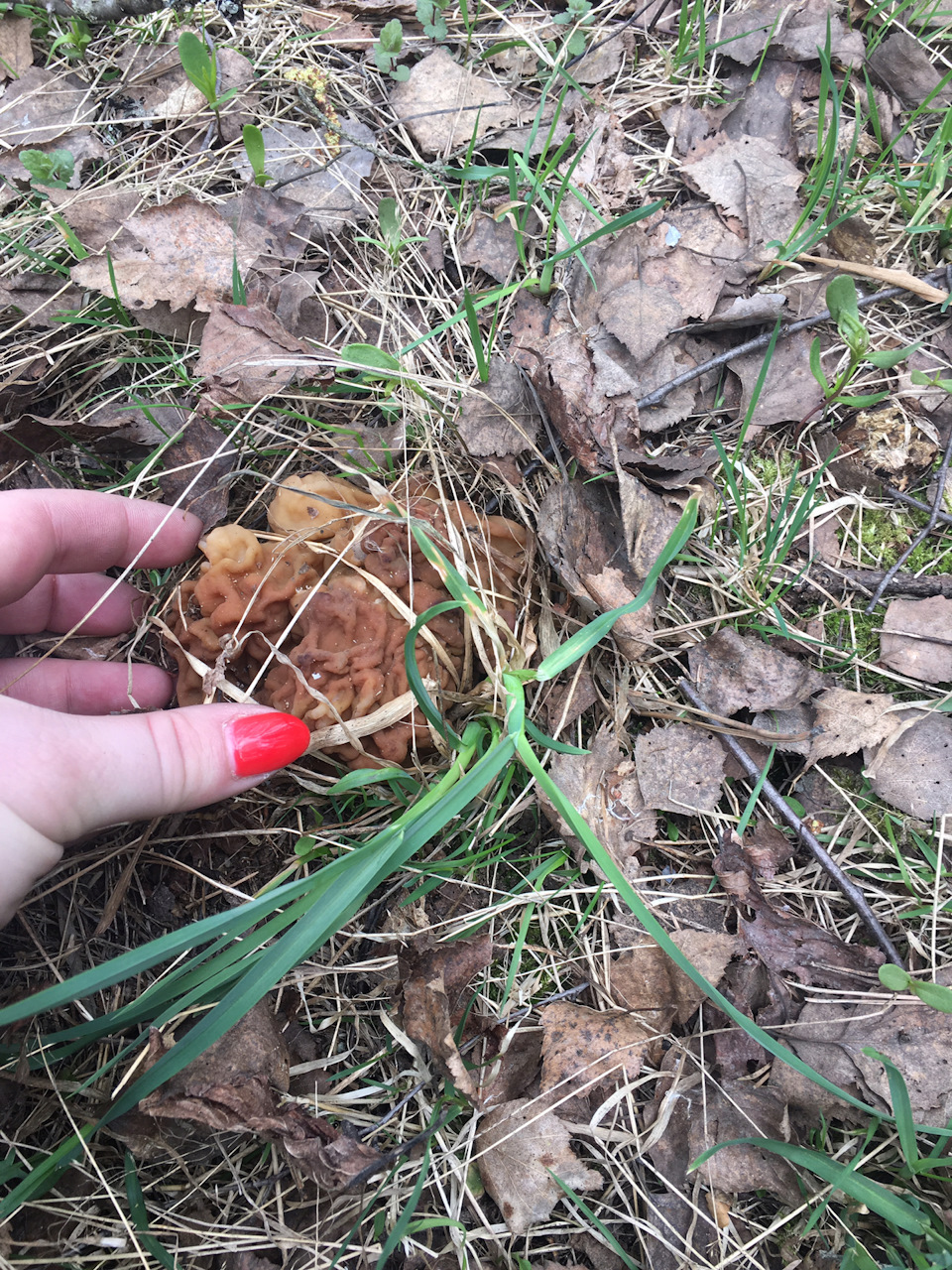 Фото в бортжурнале Nissan Note (1G)