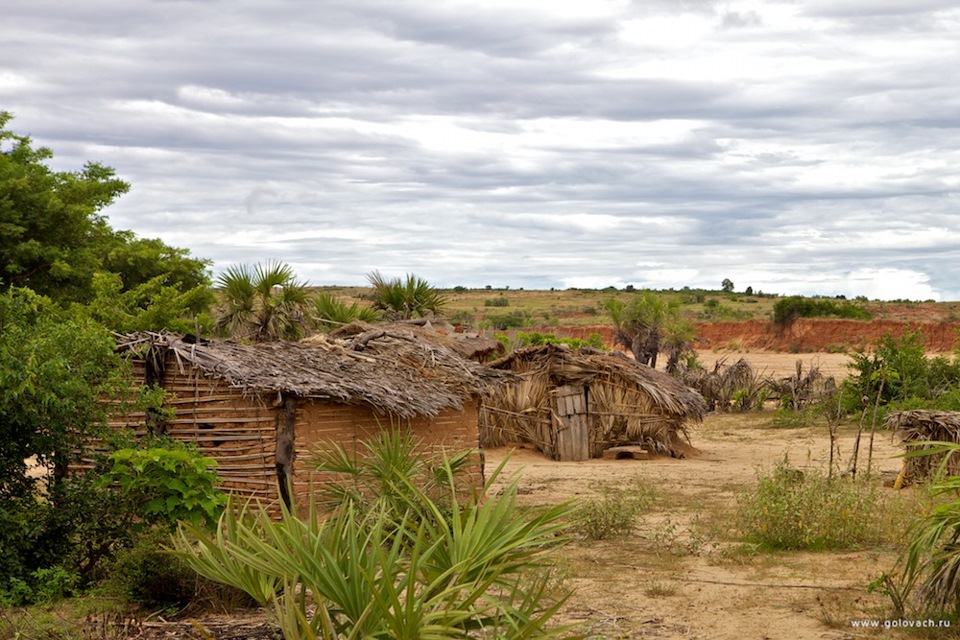 Типичный поселок. Добыча драгоценных камней на Мадагаскаре. Первые поселения на Мадагаскаре. Мадагаскар деревья. Добыча золота на Мадагаскаре.