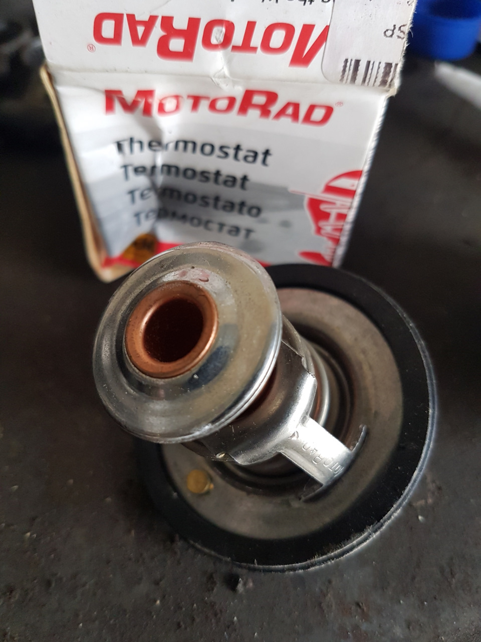 Поставил 82° Motorad без дырок — Saab 9-5 (1G)