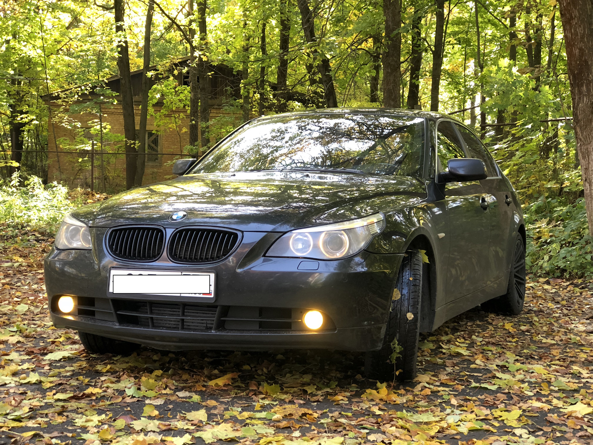 Бмв 2005. БМВ 2005 Е 61 525 белая. BMW 525 Black. БМВ Е 60 525d 2004г фото. БМВ 2005 Е 61 525 белая цена.