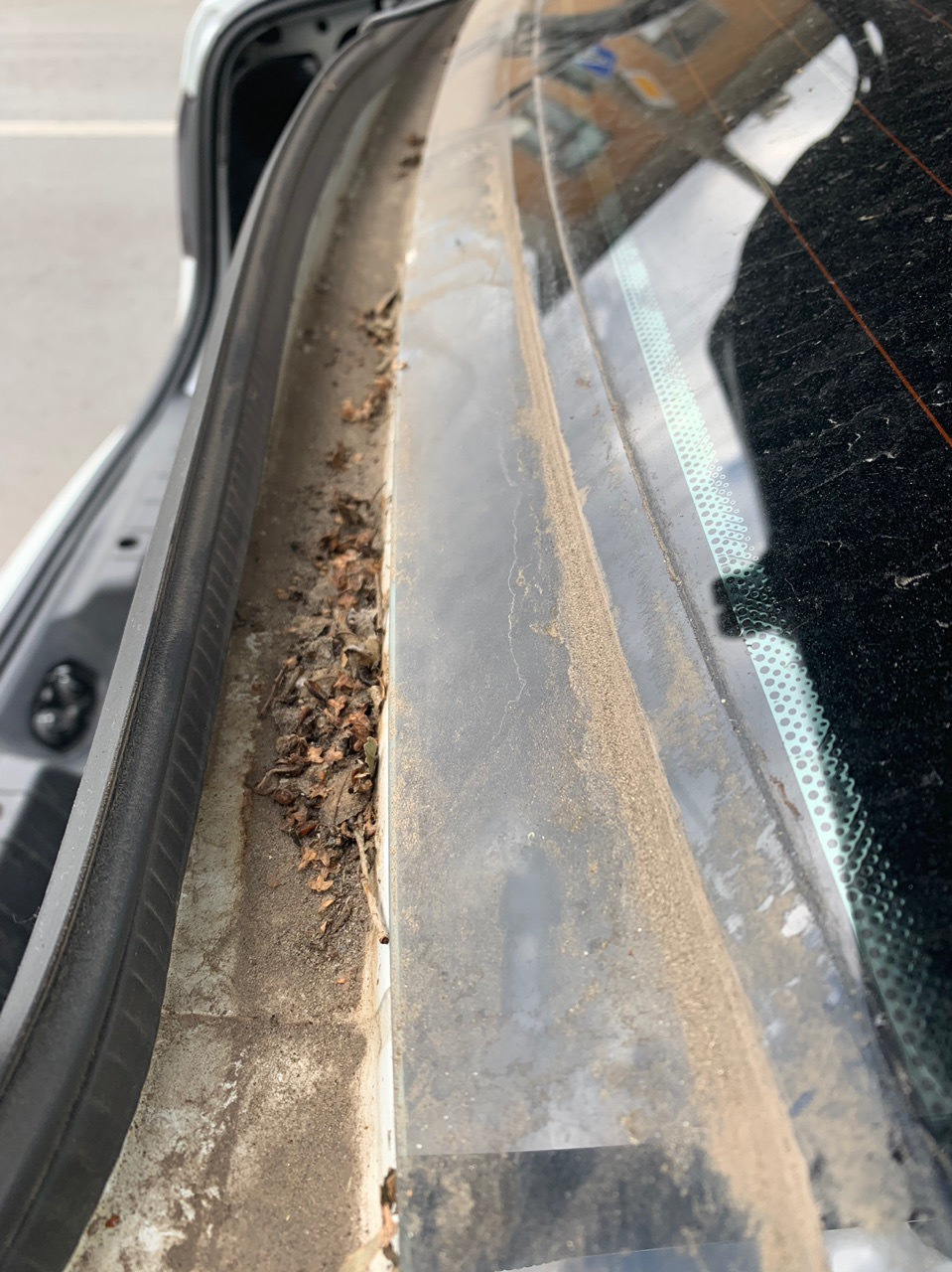 Фото в бортжурнале Lada Vesta (1G)