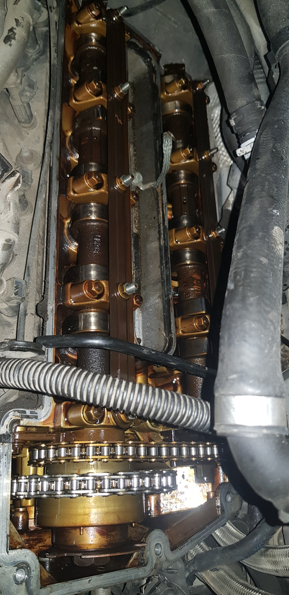 Открыл одну крышку. — BMW X5 (E53), 4,4 л, 2001 года | поломка | DRIVE2