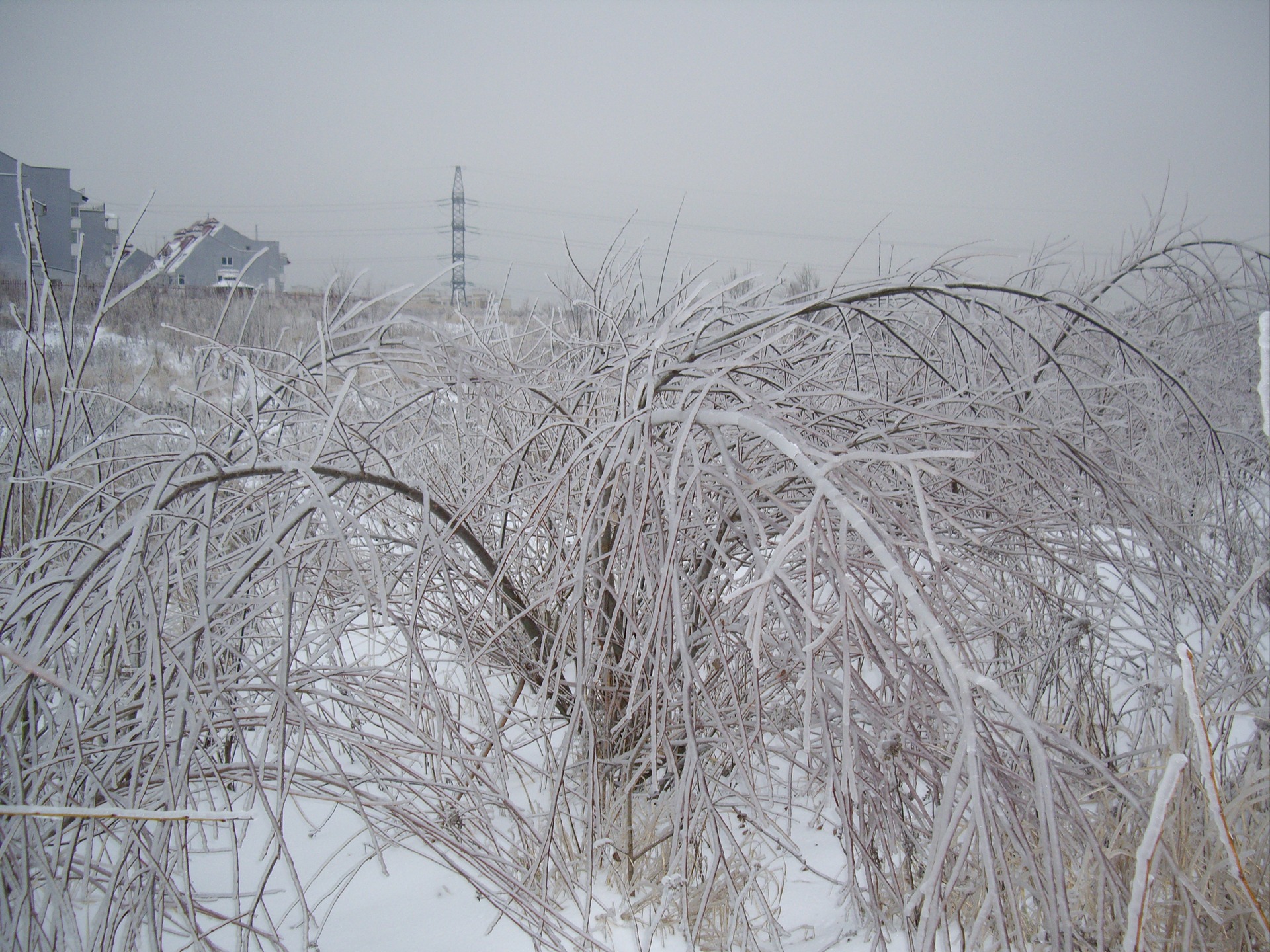 Ледяной дождь 2010