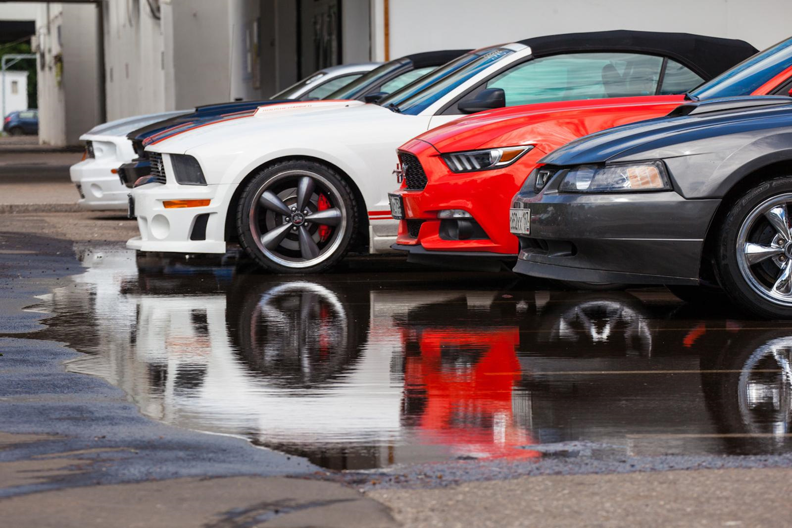 Суперкары обои. Кигер-мустанг. Российские мустанги. Ford mustang roush. Дикие мустанги дикие лошади.