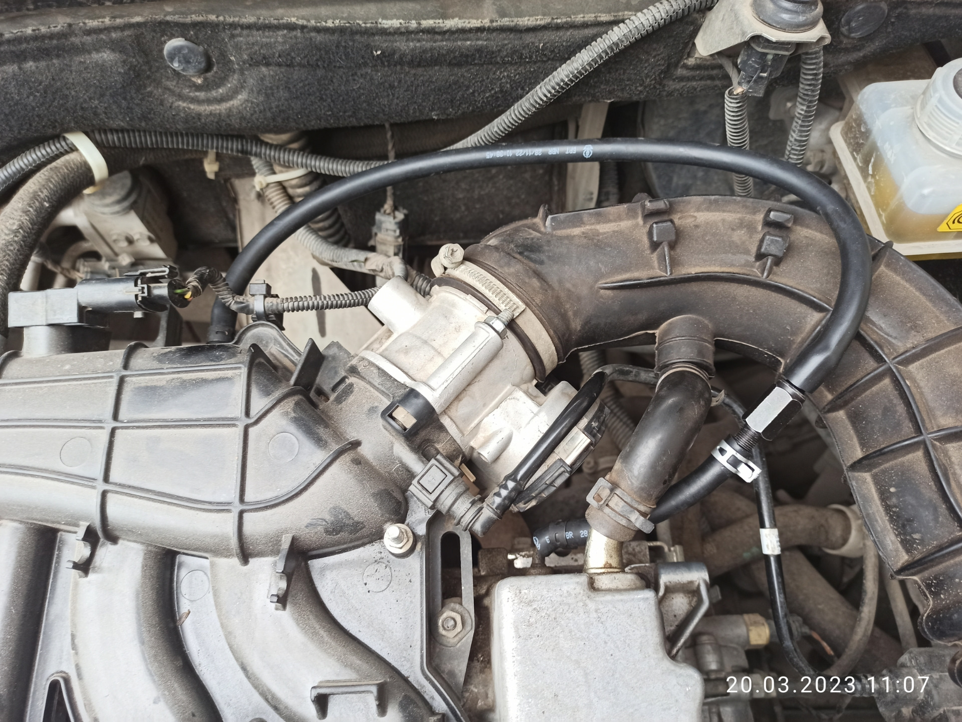 Pcv клапан, ромашки — Lada Гранта (2G) FL, 1,6 л, 2019 года ...