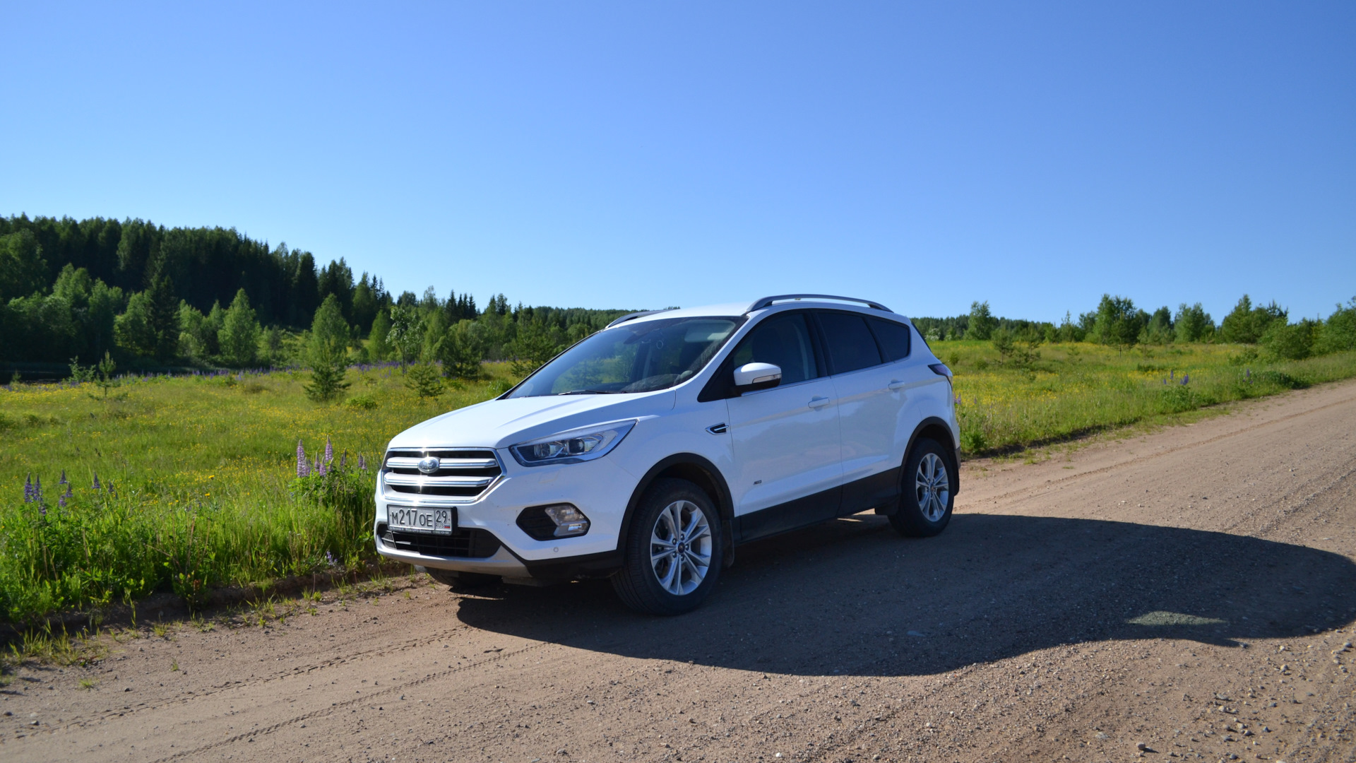 Ford Kuga (2G) 1.5 бензиновый 2017 | 1.5 ecoboost / Squirrel на DRIVE2