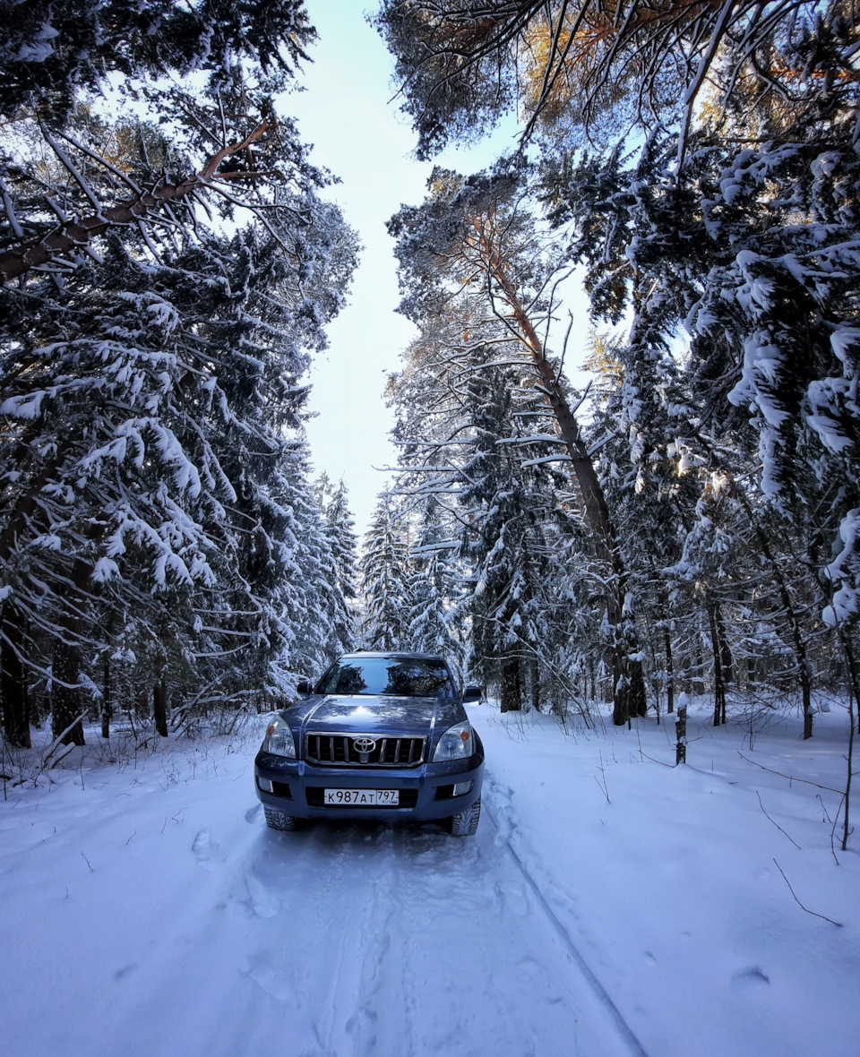 Зимняя сказка — DRIVE2