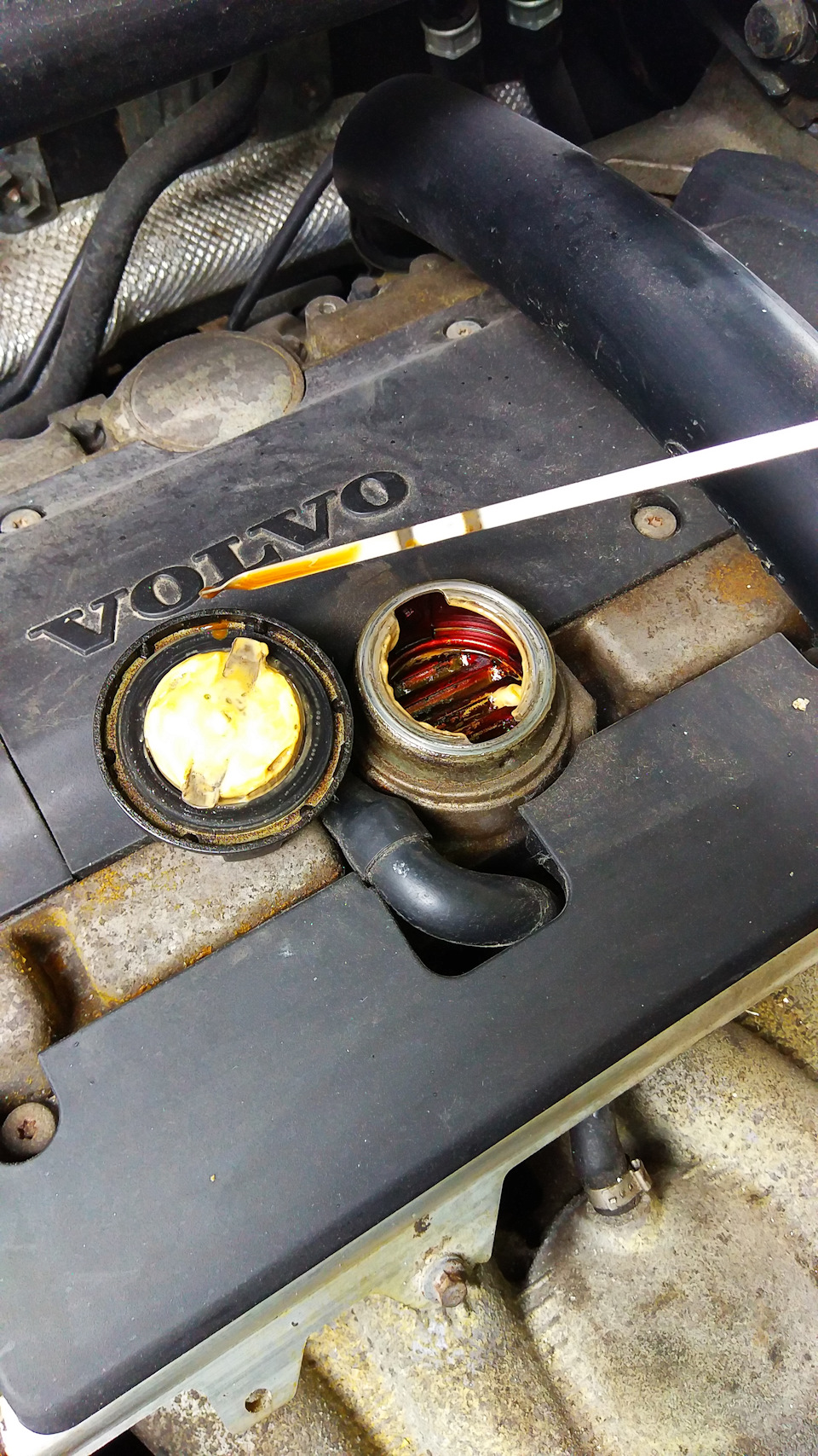 Эмульсия на крышке — Volvo XC90 (1G), 2,5 л, 2007 года | расходники ...