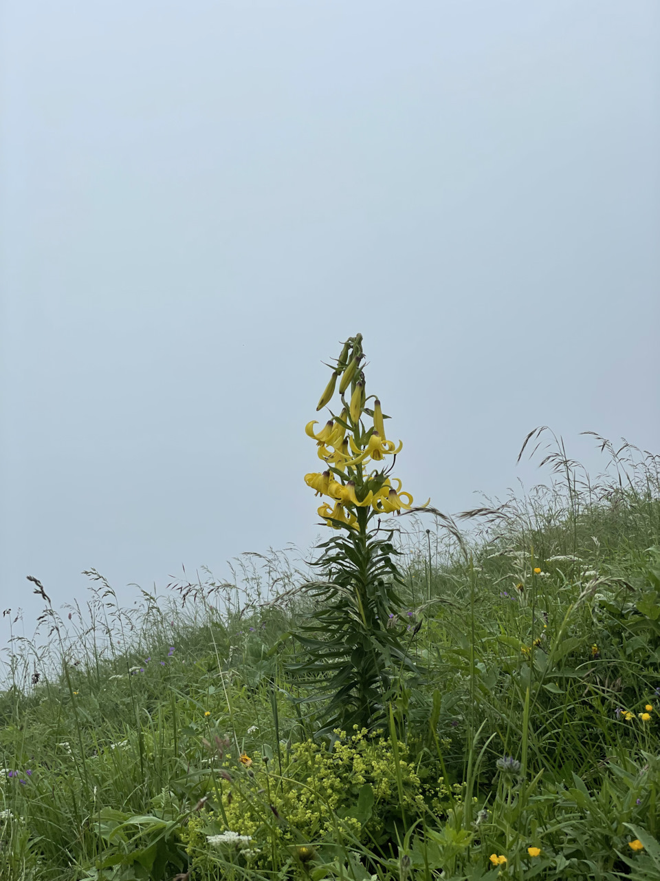 Фото в бортжурнале Renault Duster (1G)