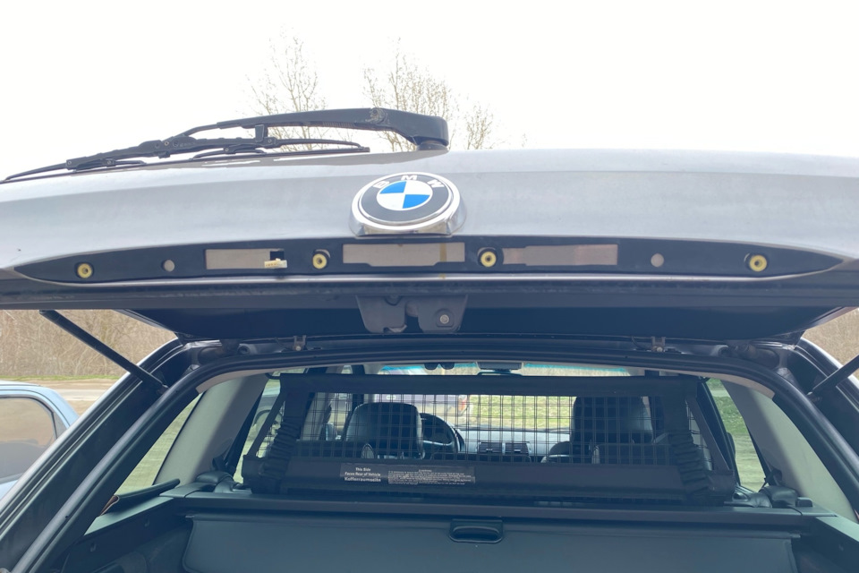 Фото в бортжурнале BMW X5 (E53)