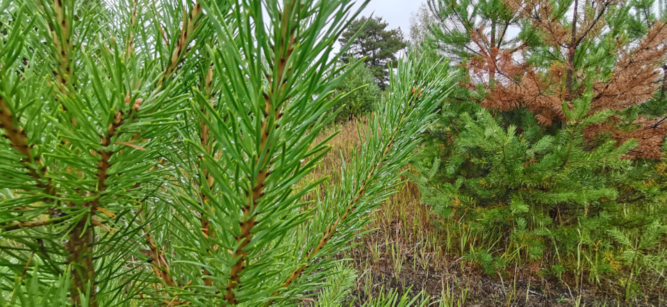 Закипел аккумулятор — Toyota Land Cruiser Prado 150-series, 3 л, 2014 ...