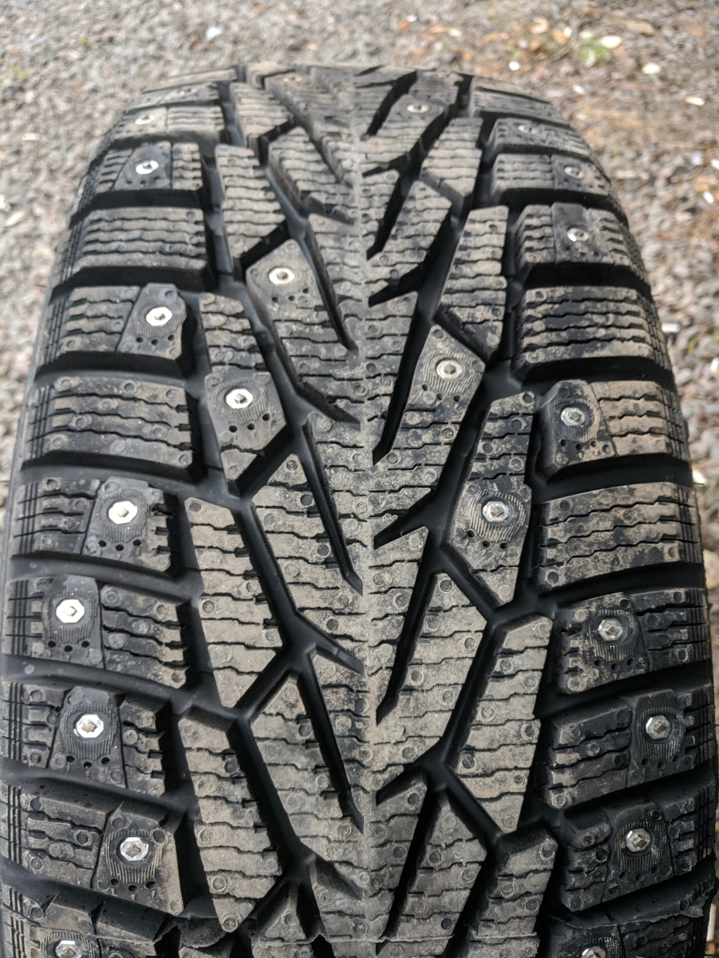 Nokian Nordman 7 205 55 R16 Купить