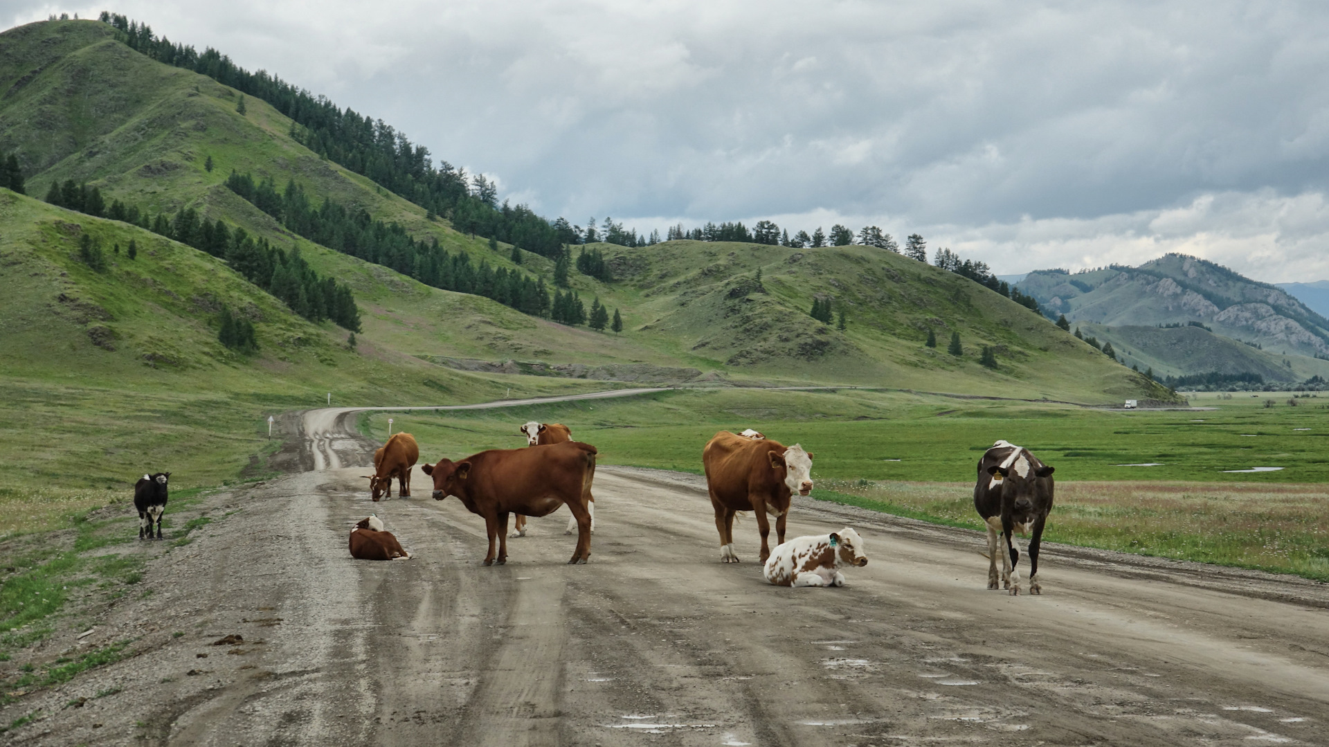 Село Усть Кан Республика Алтай