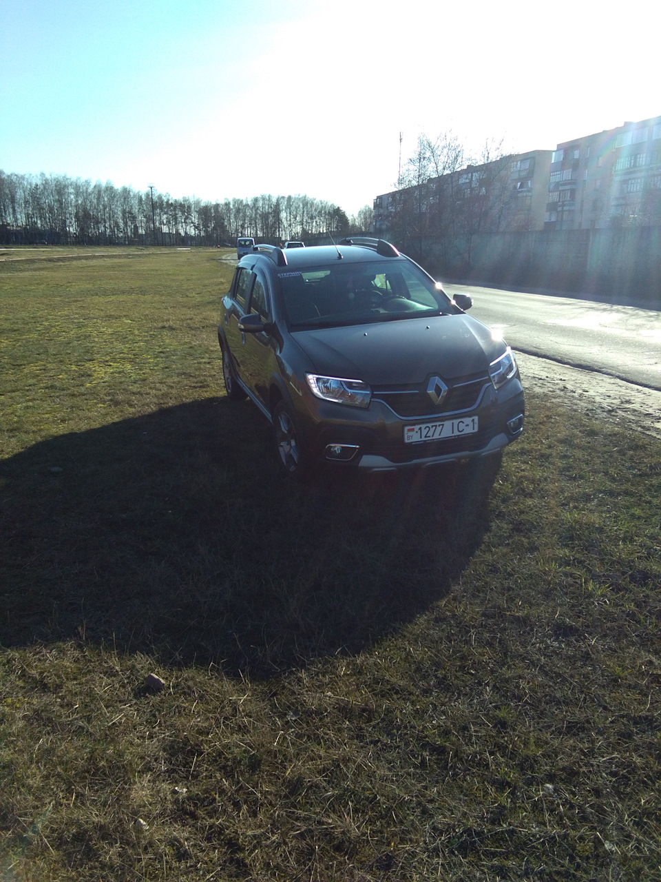 Впечатления от машины за 8 месяцев. Часть 1. — Renault Sandero Stepway  (2G), 1,6 л, 2019 года | наблюдение | DRIVE2