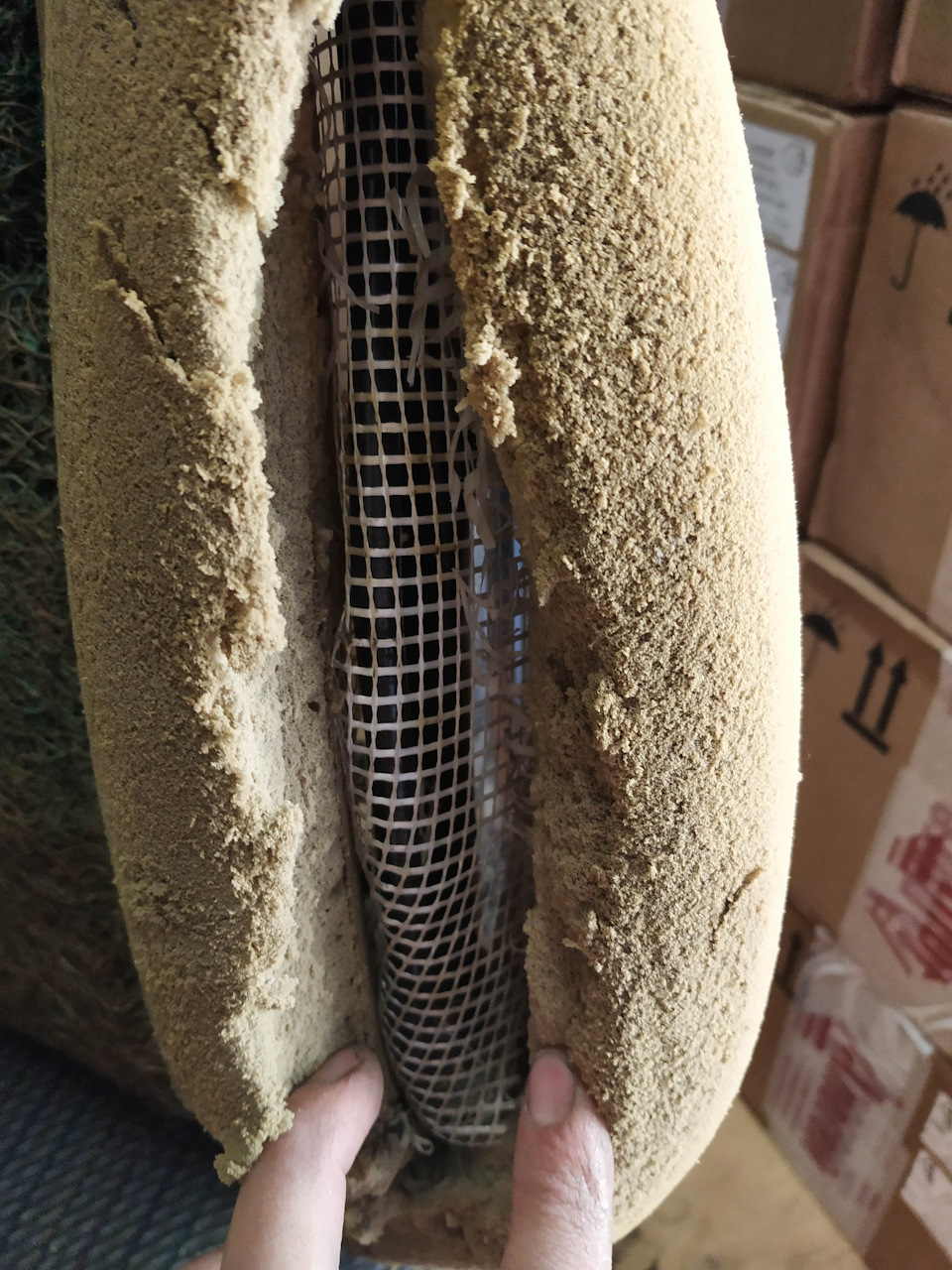 Что лучше тойота филдер или виш - 95 фото