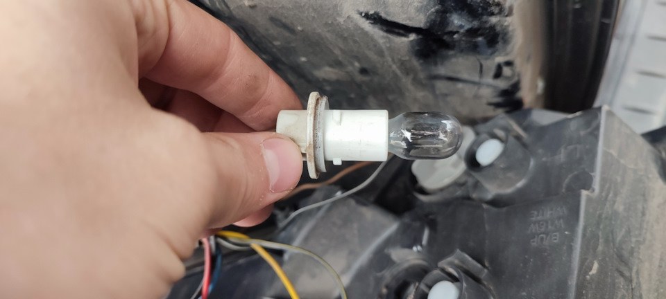 Светодиодные лампочки заднего хода. Замена. — Chevrolet Captiva (1G), 2 ...