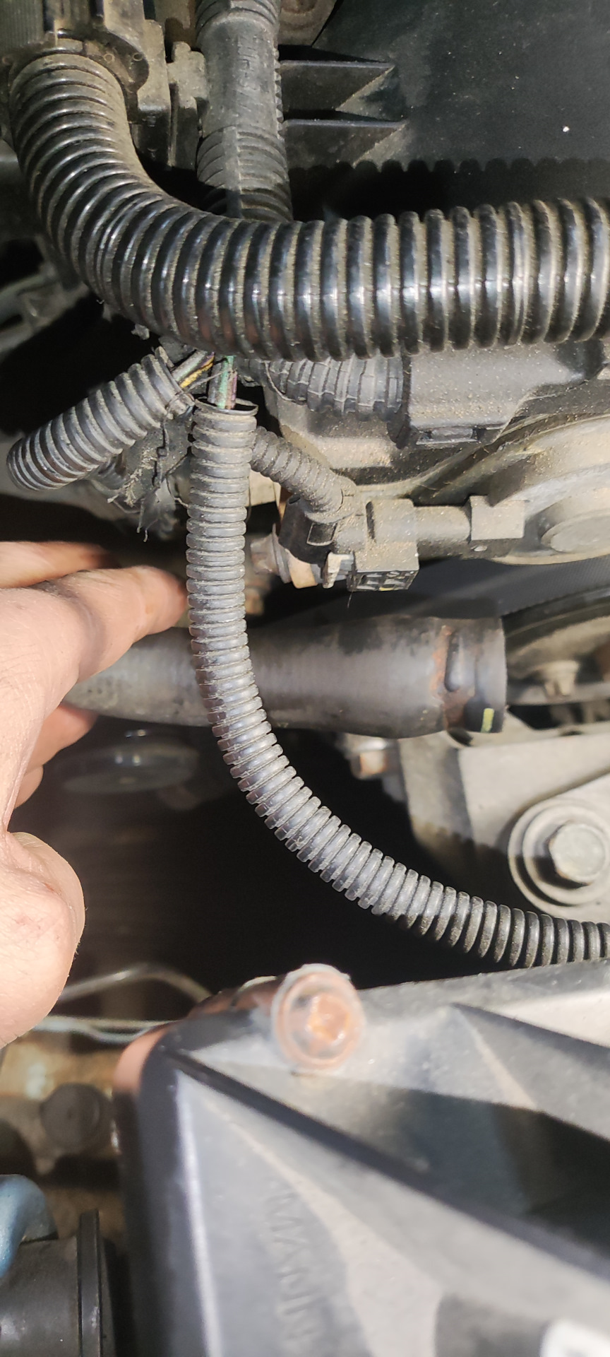 Бурление в расширительном бочке. — Chevrolet Cruze (1G), 1,4 л, 2012 ...