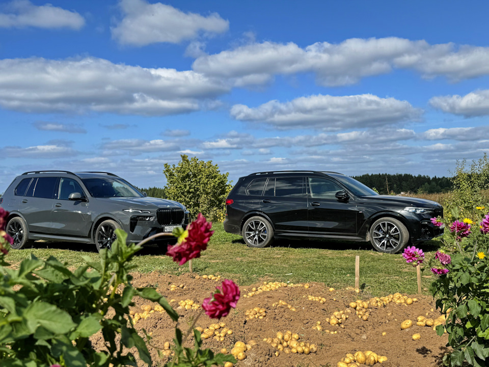 Фото в бортжурнале BMW X7 (G07)