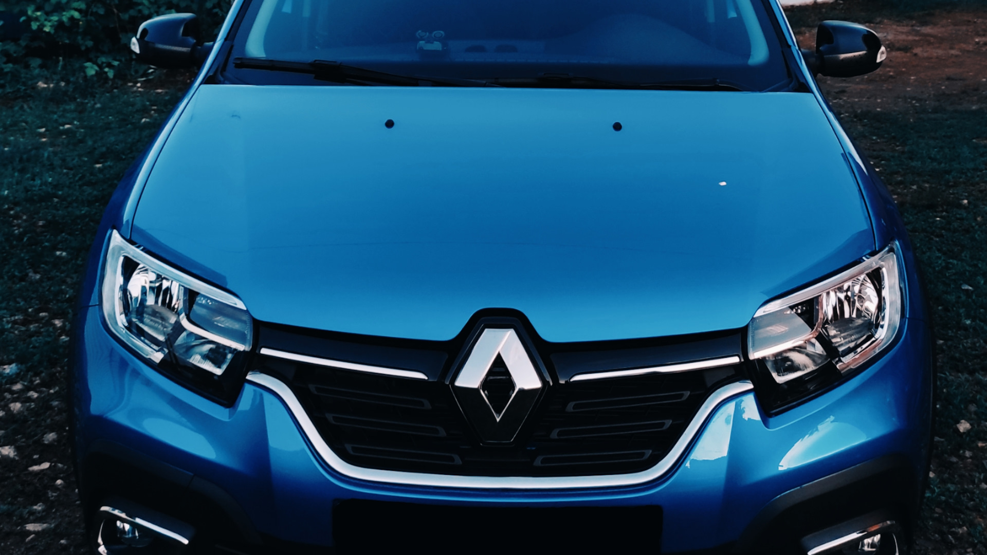 Renault Logan Stepway 1.6 бензиновый 2021 | Blue style на DRIVE2