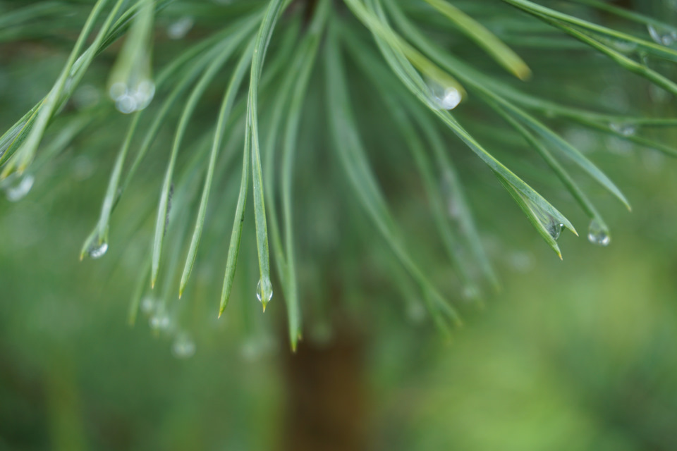 Фото в бортжурнале Nissan Murano II