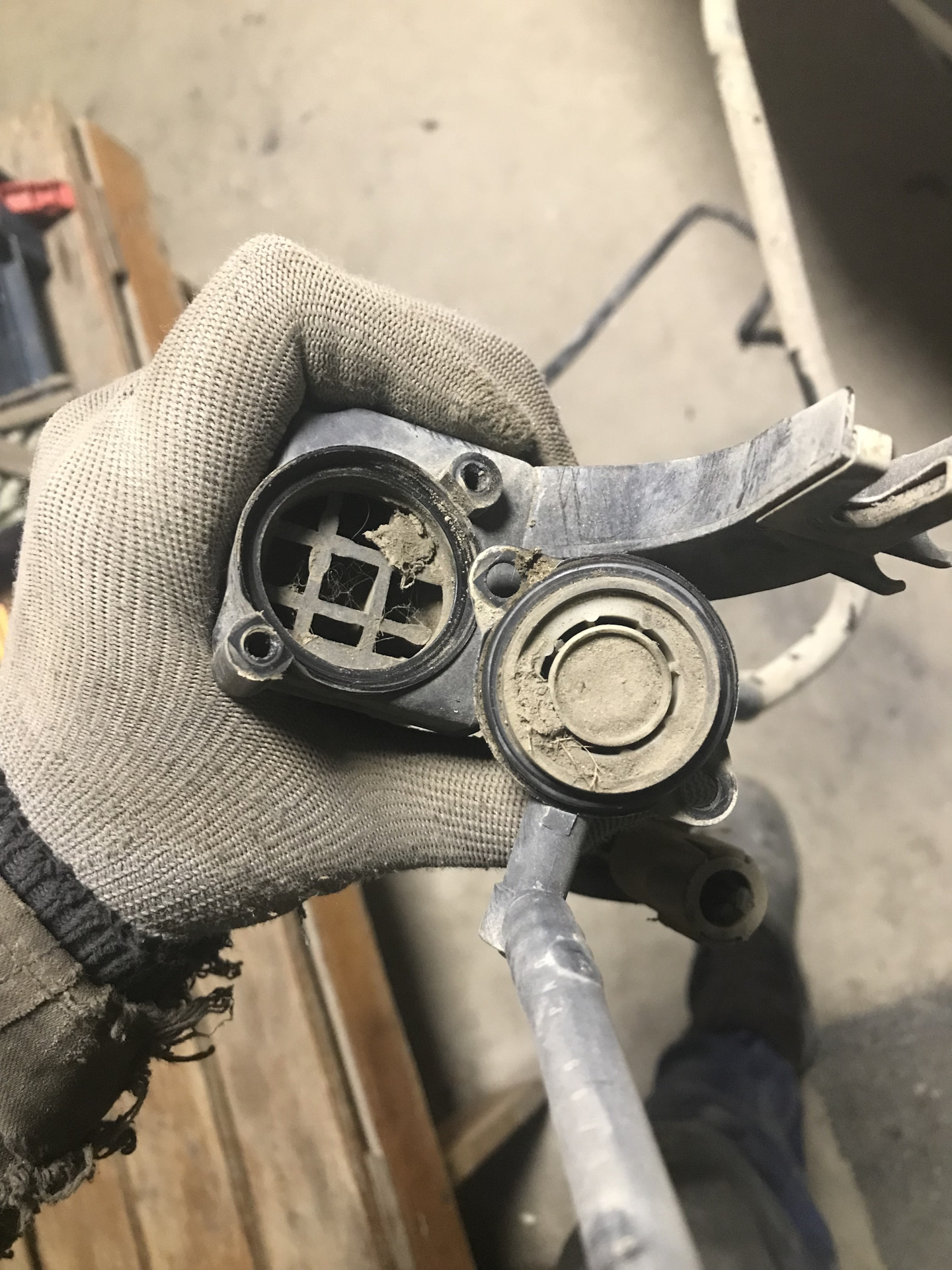 Ошибка Абсорбера! — Volkswagen Passat B5, 1,8 л, 1999 года | другое ...