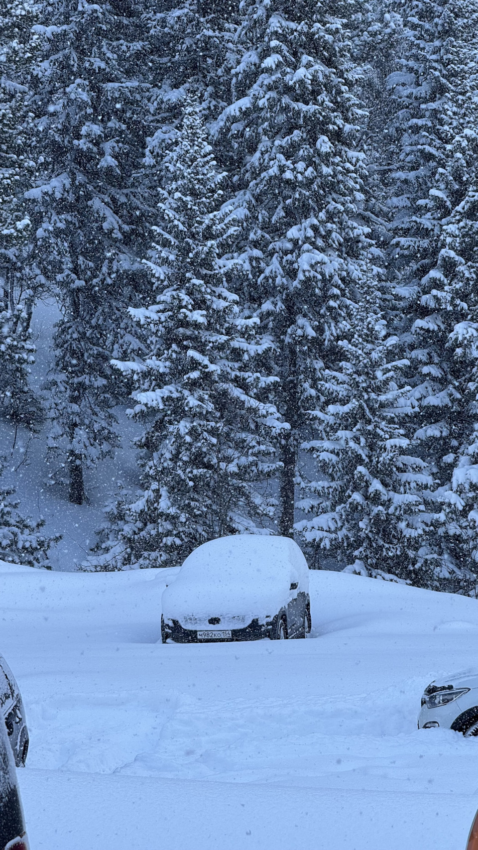 Фото в бортжурнале Skoda Kodiaq (1G)