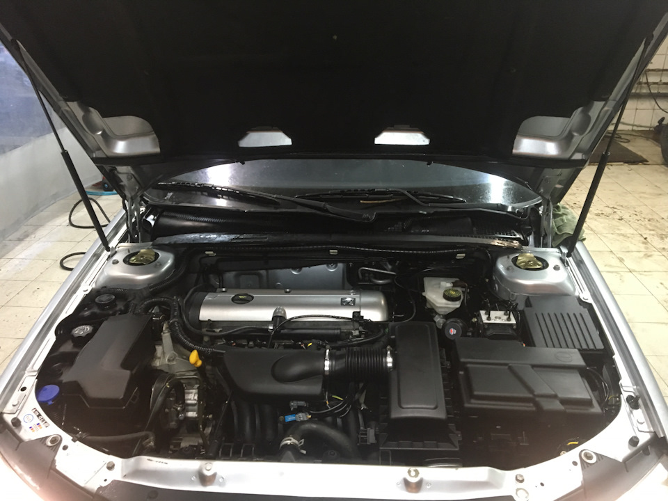 Мойка двигателя паром Peugeot 406 c использованием диэлектрика ...