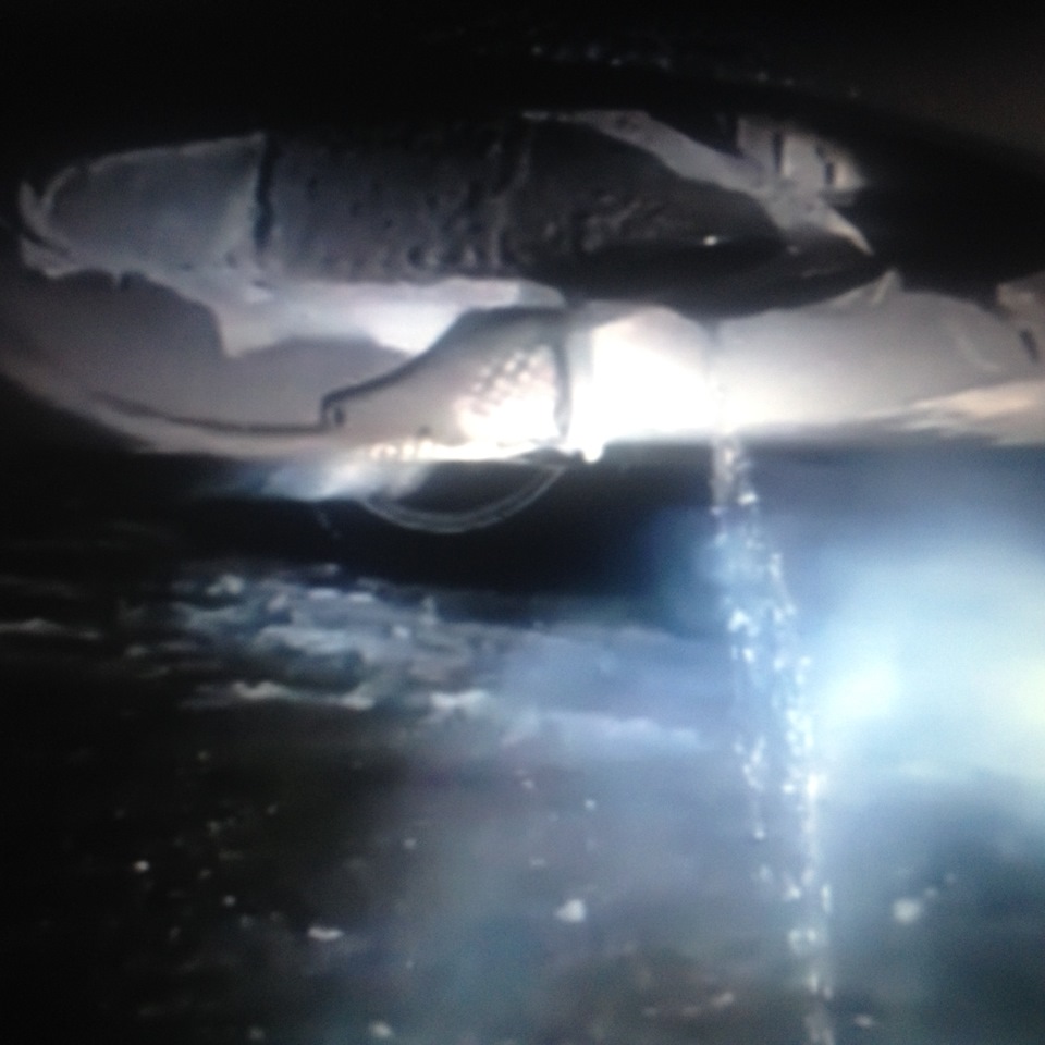 Конденсат в глушителе — Nissan X-Trail II (t31), 2 л, 2011 года | видео ...