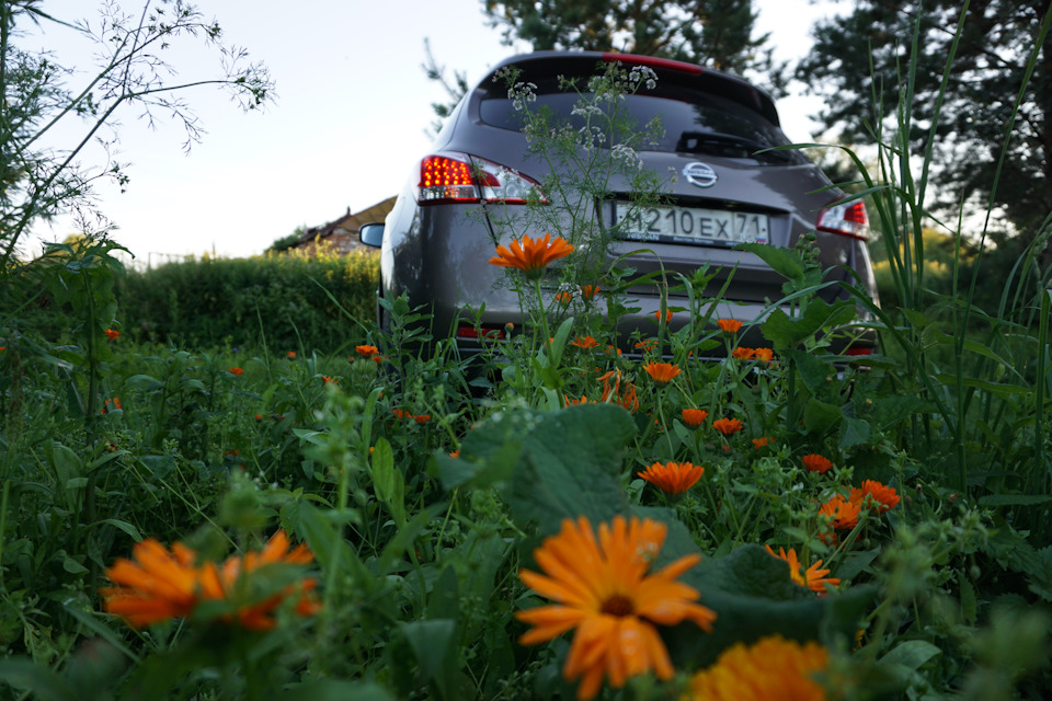 Фото в бортжурнале Nissan Murano II