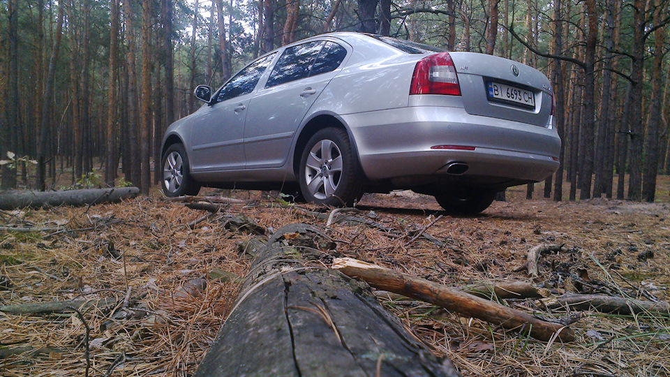 пластиковые локера skoda octavia at пластиковые локера skoda octavia at