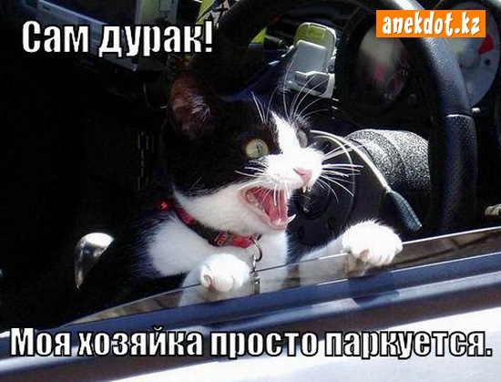 Цена в автошколах в чебоксарах Цена в автошколах в чебоксарах