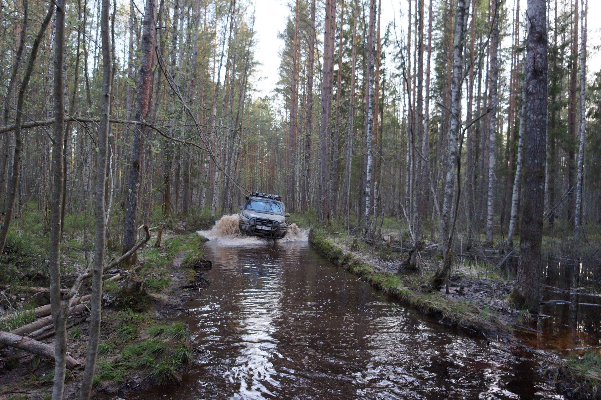 устье реки морье