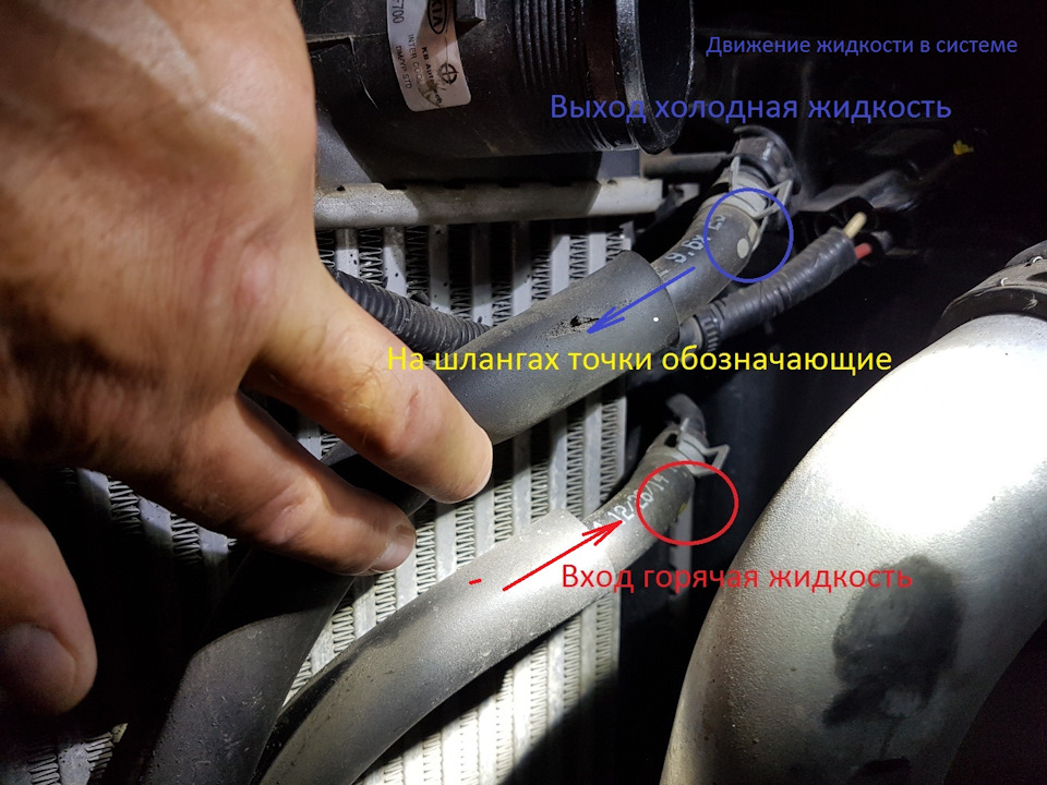 Замена масла в двигателе и масляного фильтра Hyundai Solaris
