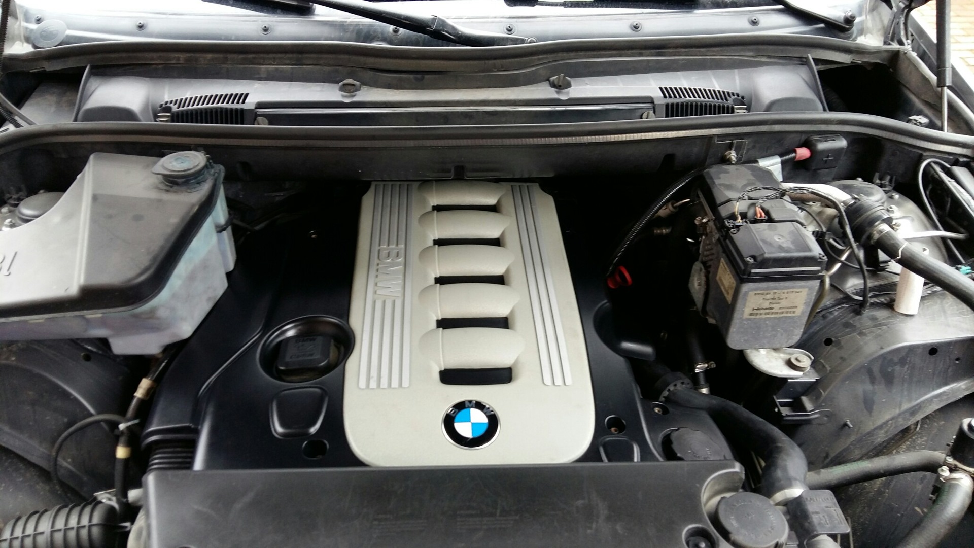 Двигатель х5 е53 3.0. BMW x5 e53 мотор. Двигатель БМВ х5 е53. Мотор дизель BMW x5 e53. Двигатель для BMW x5 e53.