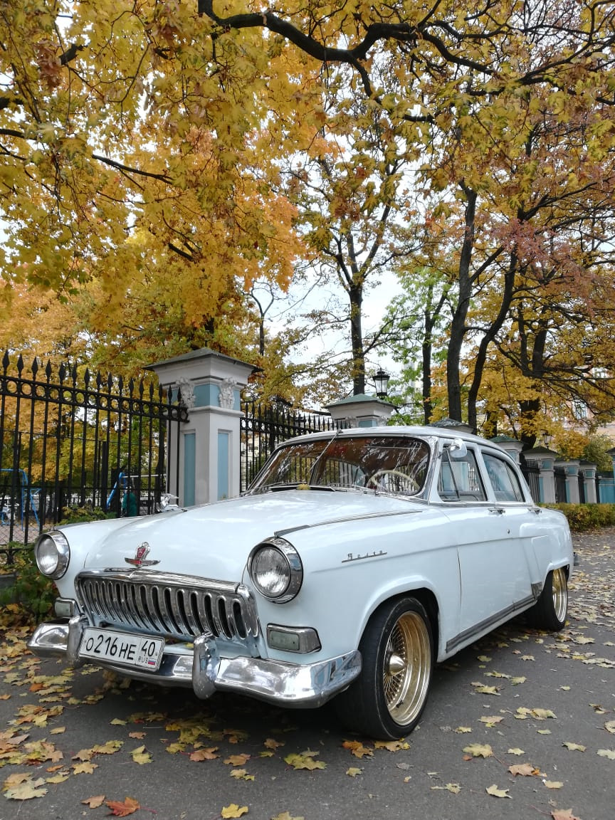 Золотая свадьба, по времени года. — ГАЗ 21, 2 л, 1961 года | встреча |  DRIVE2