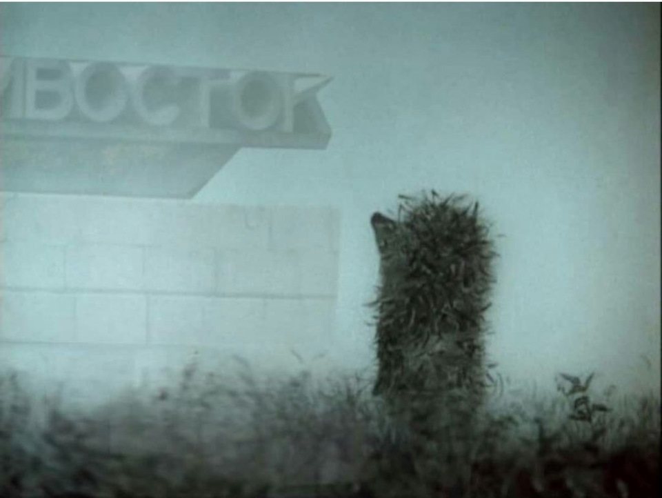 Как дождик так тучки накрывают мозг — Сообщество «Connect People» на DRIVE2