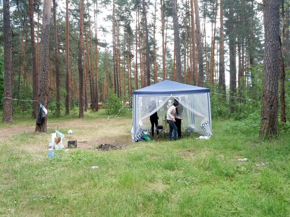 Озеро белое дмитровский погост. Белое озеро Нижегородская область. Белое озеро Некрасовка. Куринский район белое озеро. Белое озеро под Шатурой.