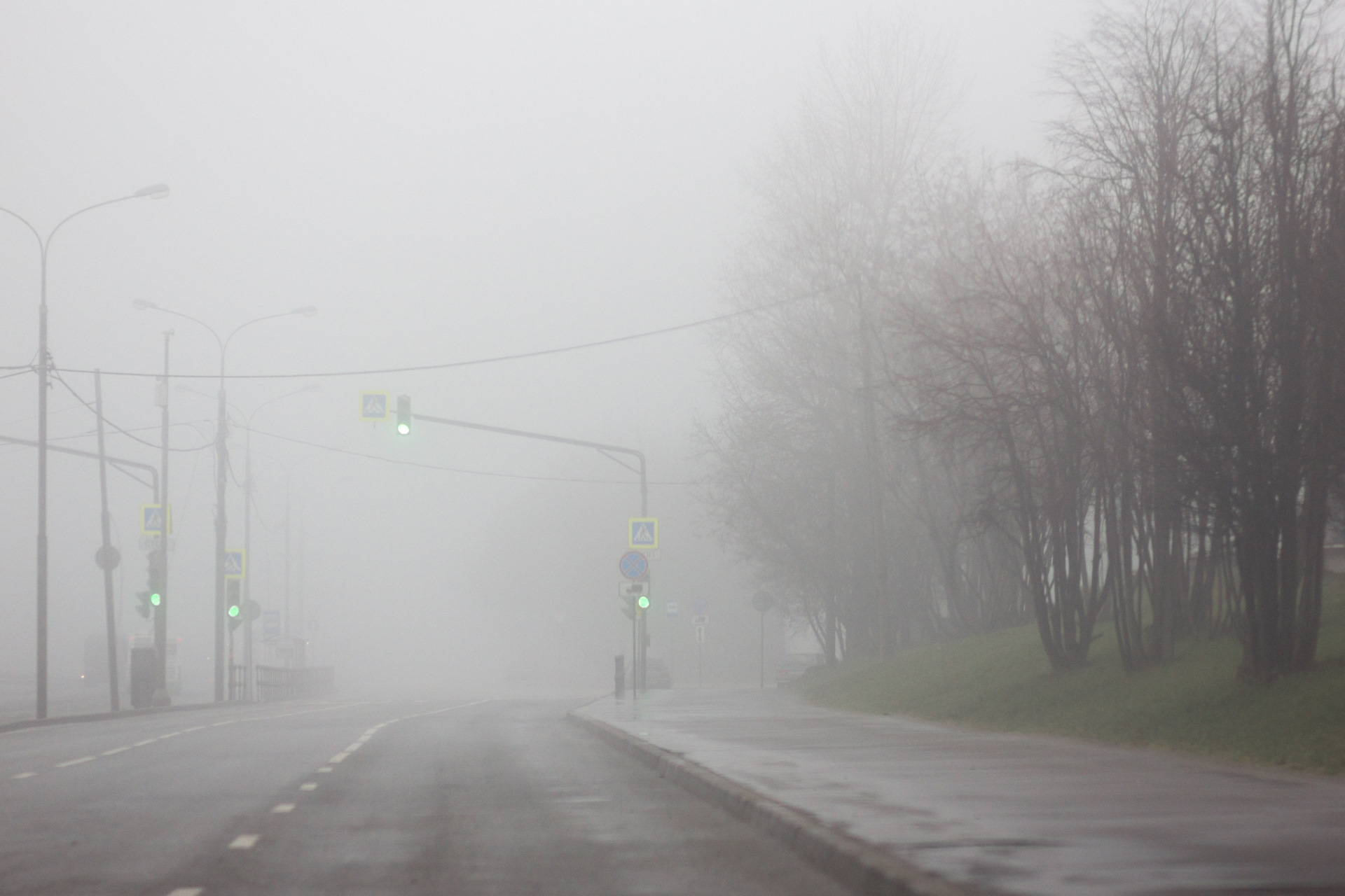 Туман пришел в движение. Реальная улица в тумане. Туман на улице к чему это. Почему на улице туман.