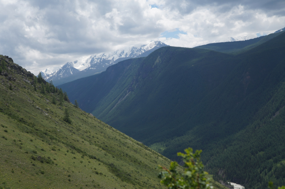 Фото в бортжурнале УАЗ Pickup