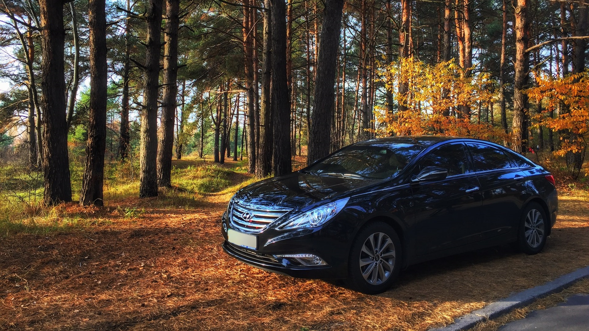 Хендай соната самара. Хендай Соната 2014 2.4. Hyundai Sonata 2012. Hyundai Sonata vi (YF). Hyundai Sonata 2018.