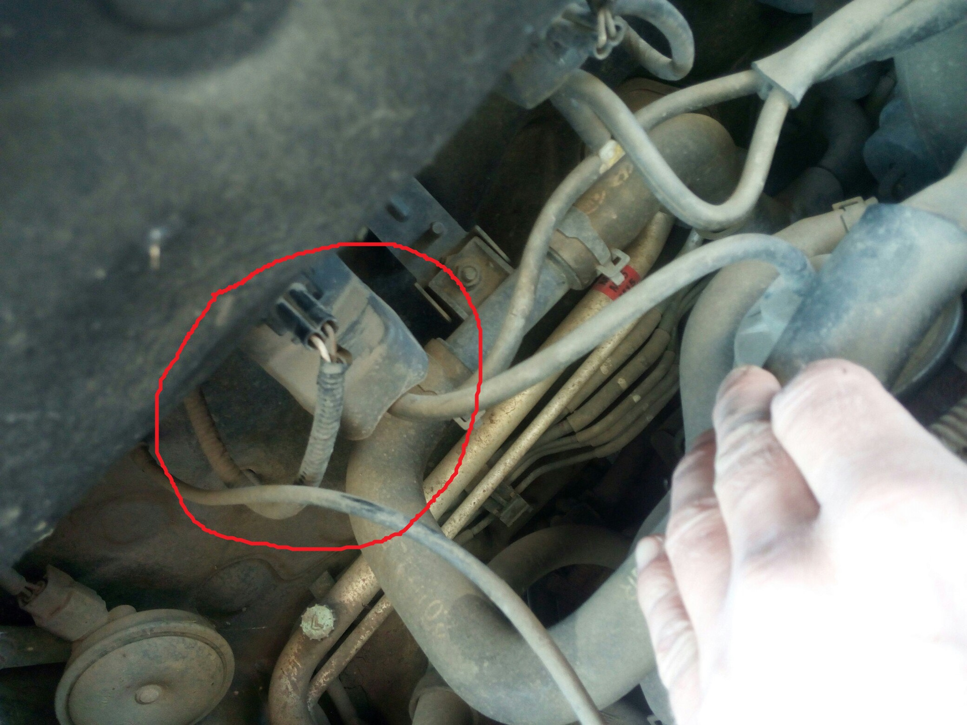 Клапан егр хендай туссан дизель где находится EGR off - Hyundai Tucson (JM), 2 л, 2008 года тюнинг DRIVE2