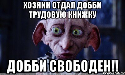 Сами открытку, я свободен прикольная картинка