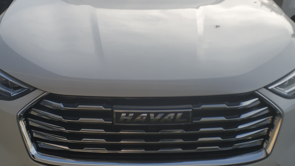 Haval Jolion «Дарина»