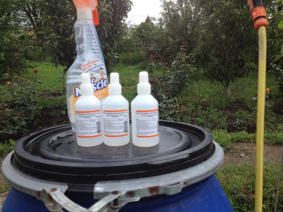 Очистка кондиционера хлоргексидином и замена фильтра — Nissan Almera II ...